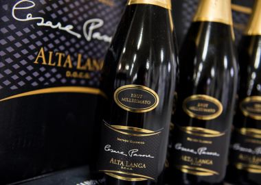 Photogallery - Cantina Vallebelbo Wines and Sparkling wines of Langhe and Monferrato