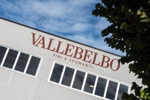 Our Values - Cantina Vallebelbo